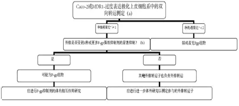 图示 描述已自动生成